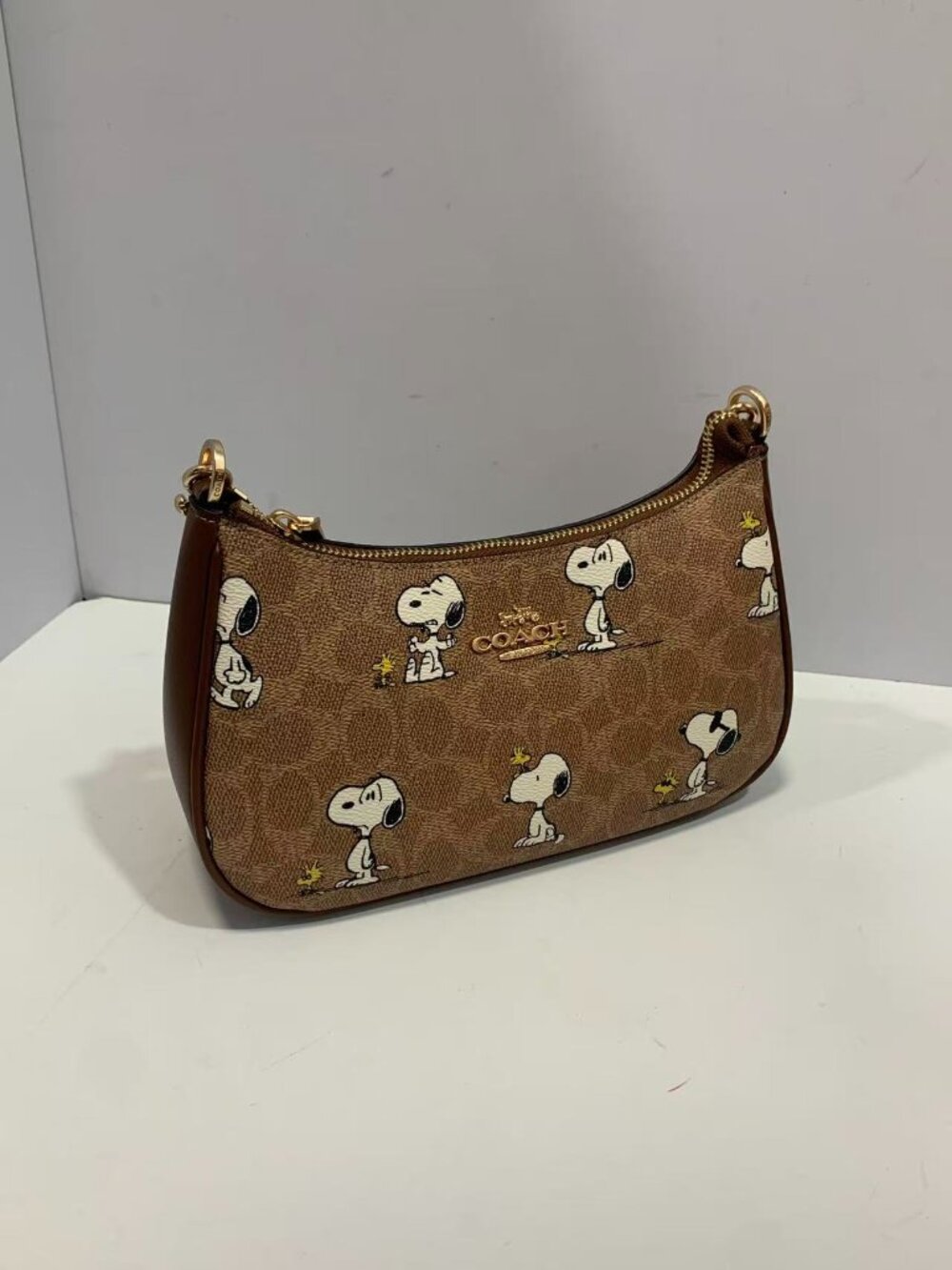 Coach Women's Brown Bag